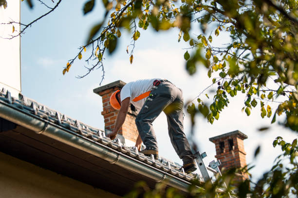 Best Roof Gutter Cleaning  in Crane, MO